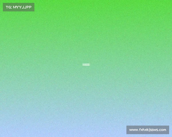 中国杯赛制 中国杯赛制